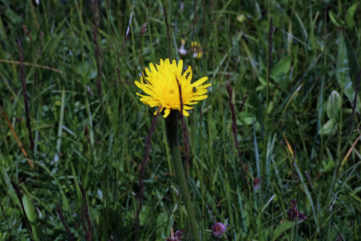 2016_07_05_022766p_Bildgr��e �ndern