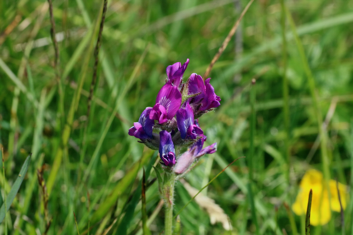 2016_07_05_022771p_Bildgr��e �ndern