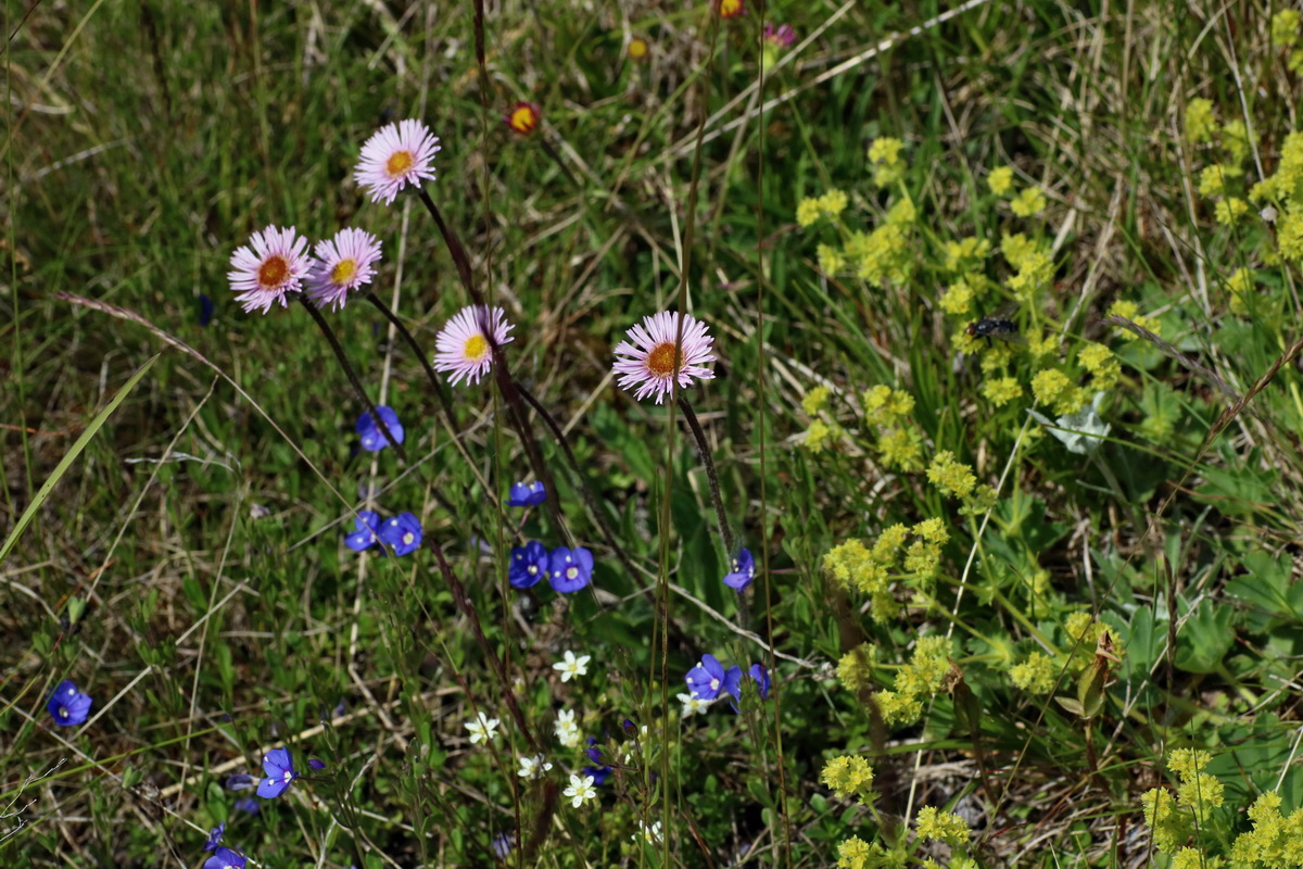 2016_07_05_022776p_Bildgr��e �ndern