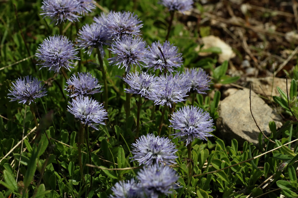 2016_07_05_022863p_Bildgr��e �ndern