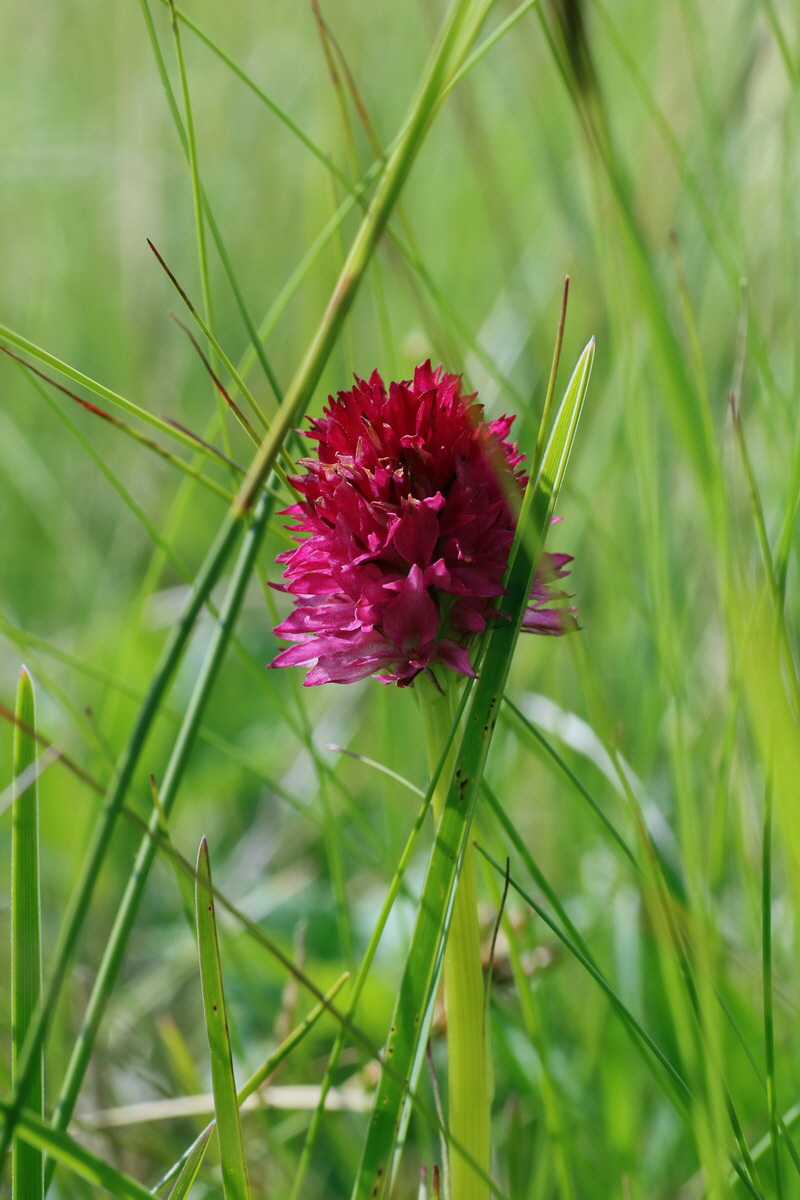 2016_07_05_022867p_Bildgr��e �ndern