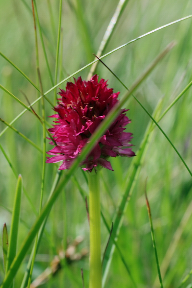 2016_07_05_022872p_Bildgr��e �ndern