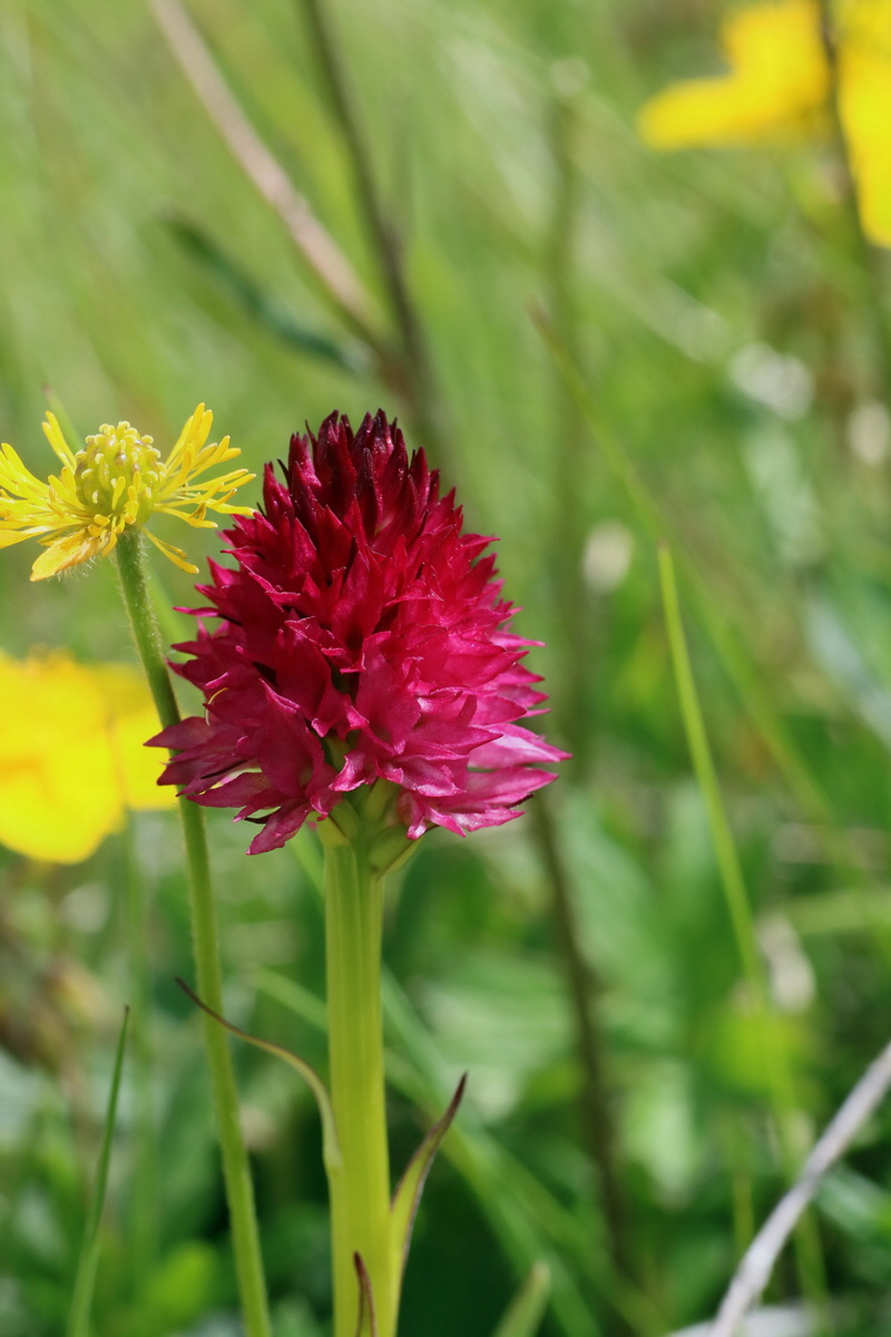 2016_07_05_022874p_Bildgr��e �ndern