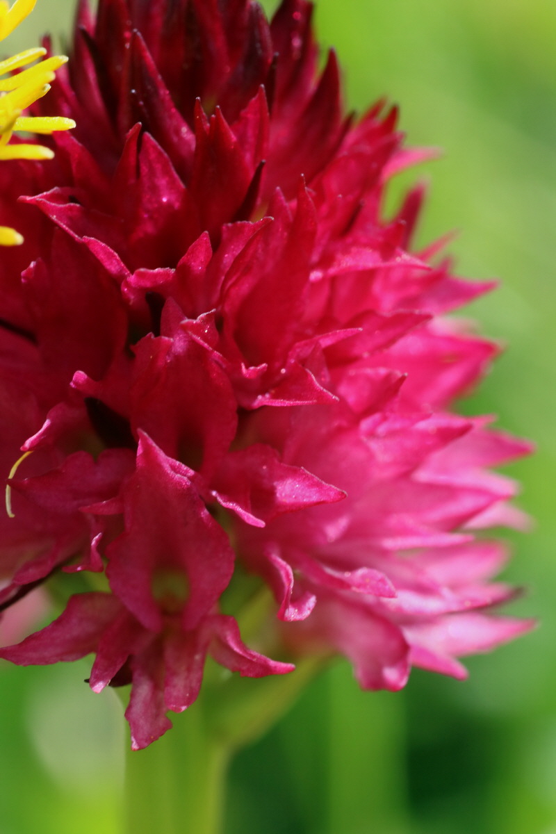 2016_07_05_022877p_Bildgr��e �ndern