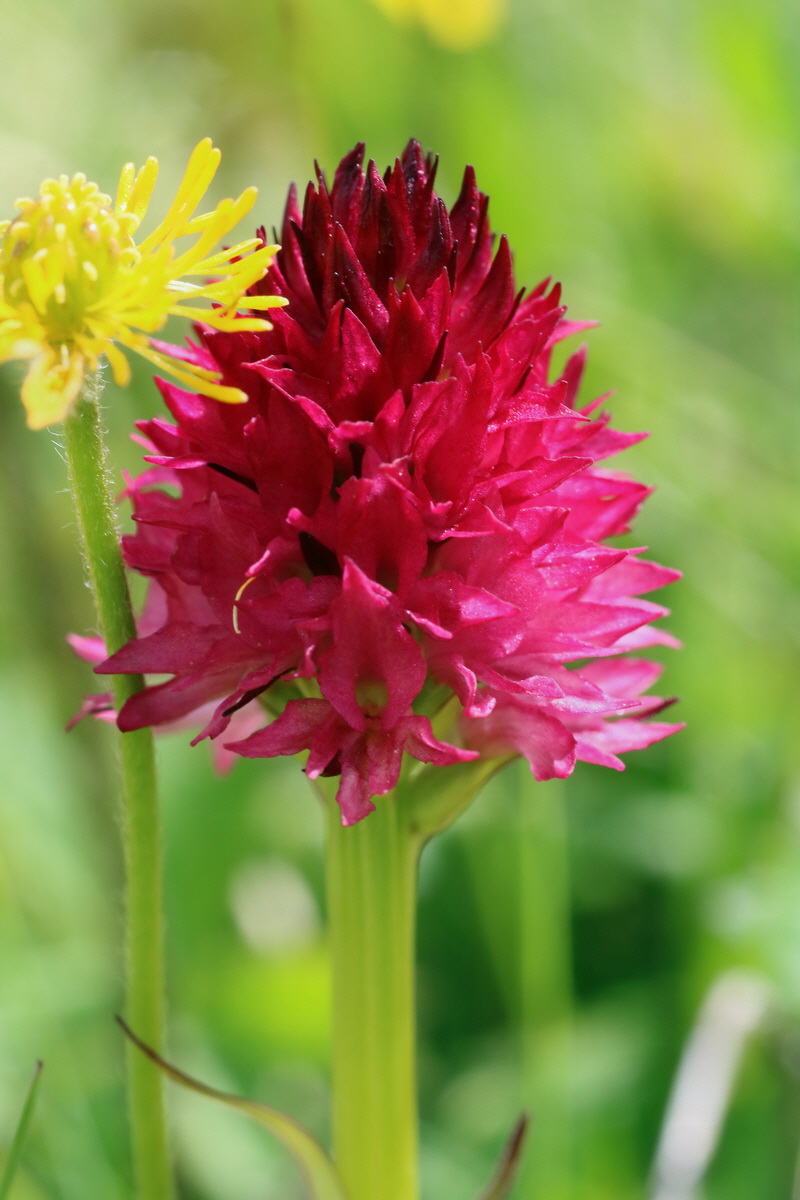 2016_07_05_022880p_Bildgr��e �ndern