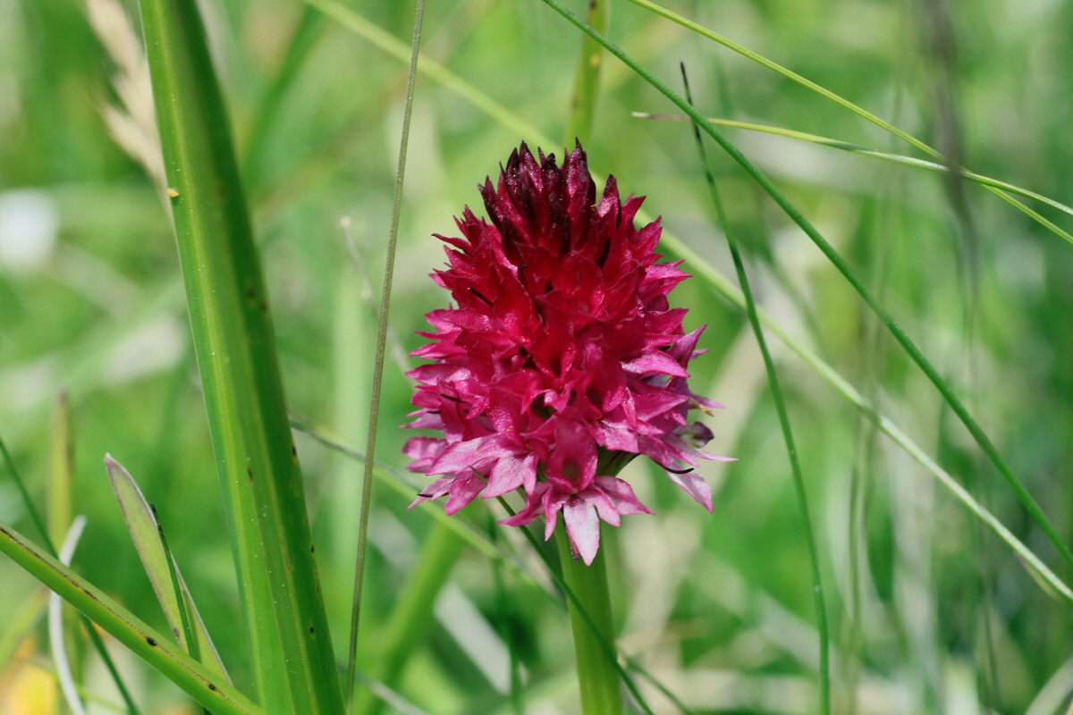 2016_07_05_022887p_Bildgr��e �ndern