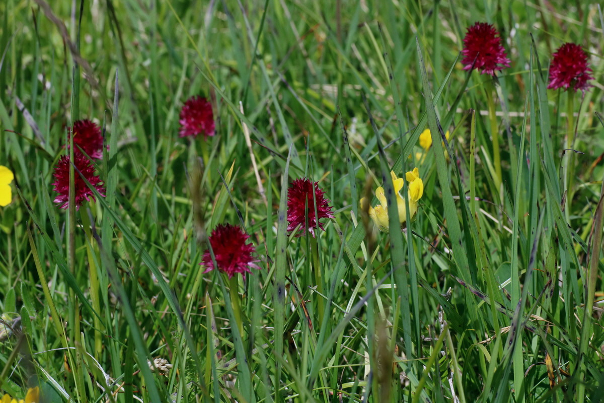 2016_07_05_022891p_Bildgr��e �ndern