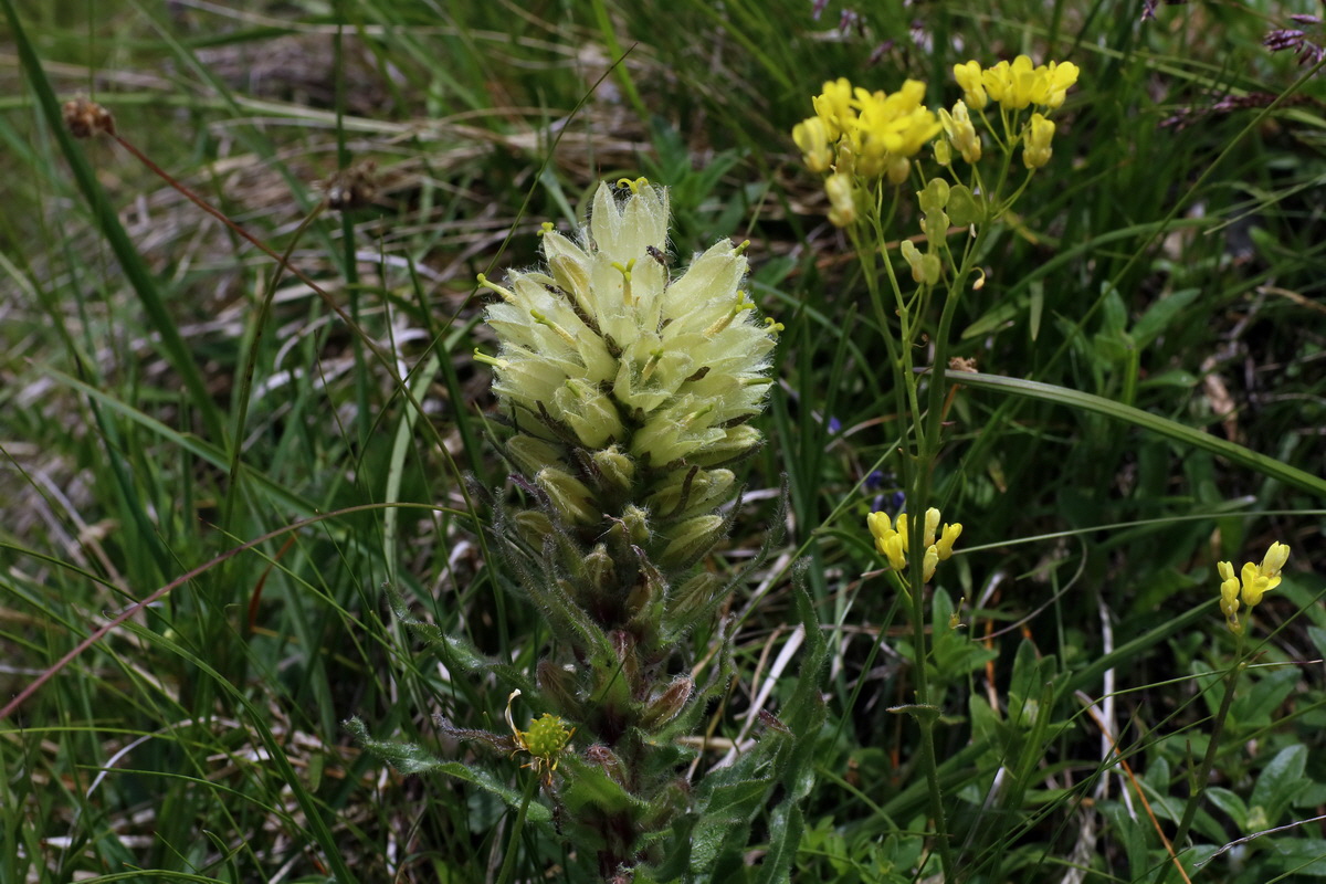 2016_07_05_022918p_Bildgr��e �ndern