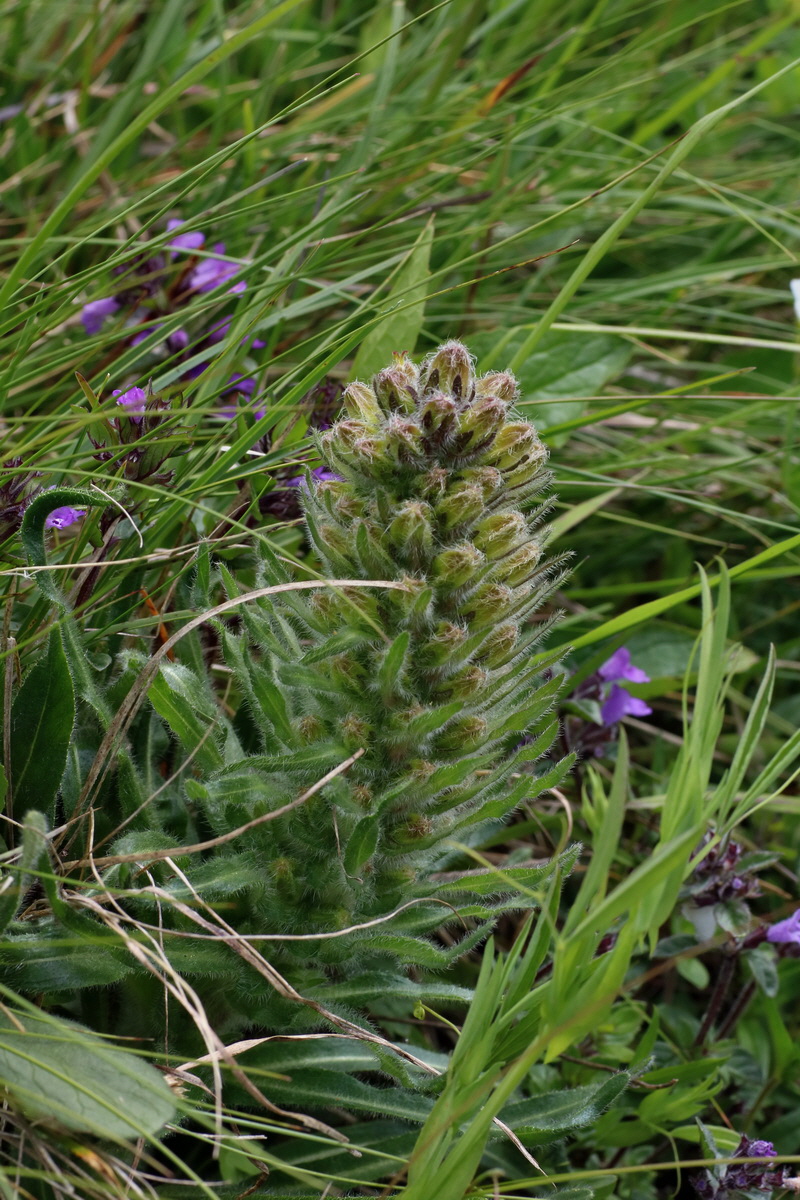 2016_07_05_022925p_Bildgr��e �ndern