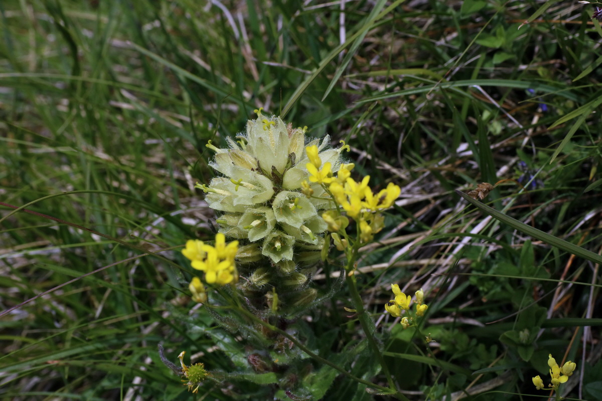 2016_07_05_022928p_Bildgr��e �ndern