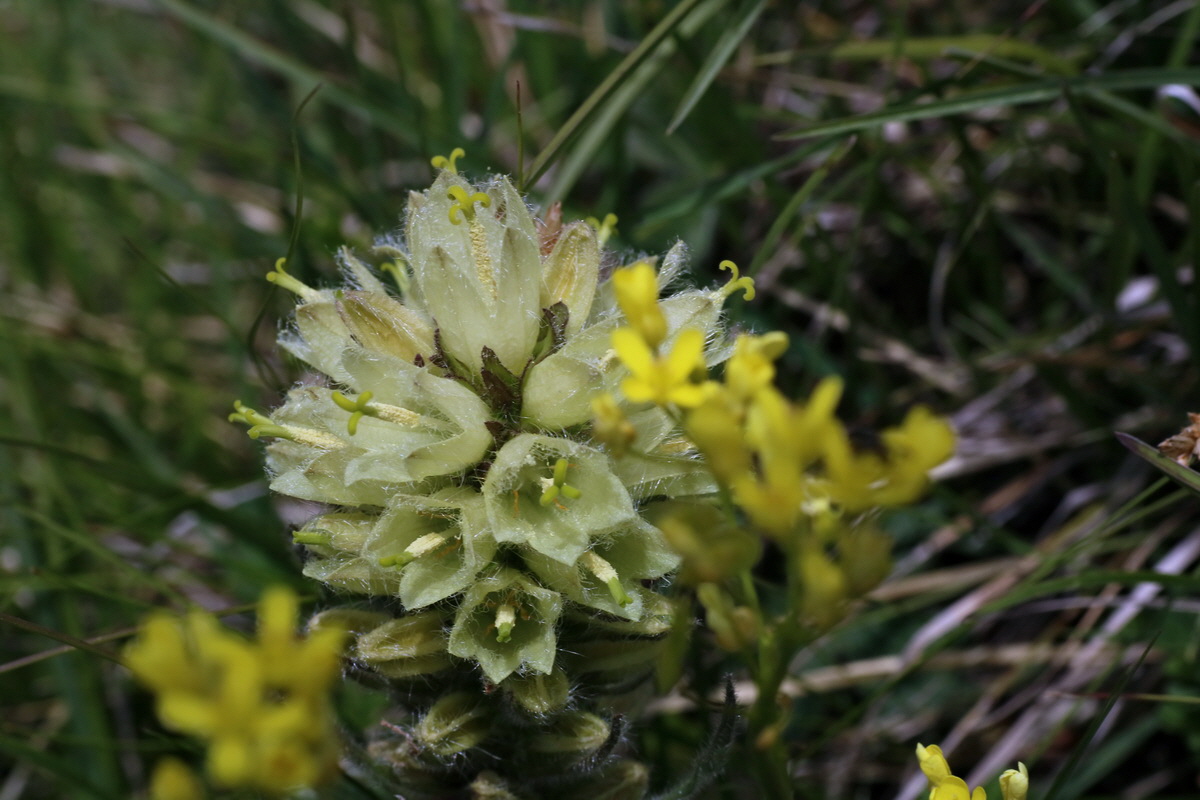 2016_07_05_022930p_Bildgr��e �ndern