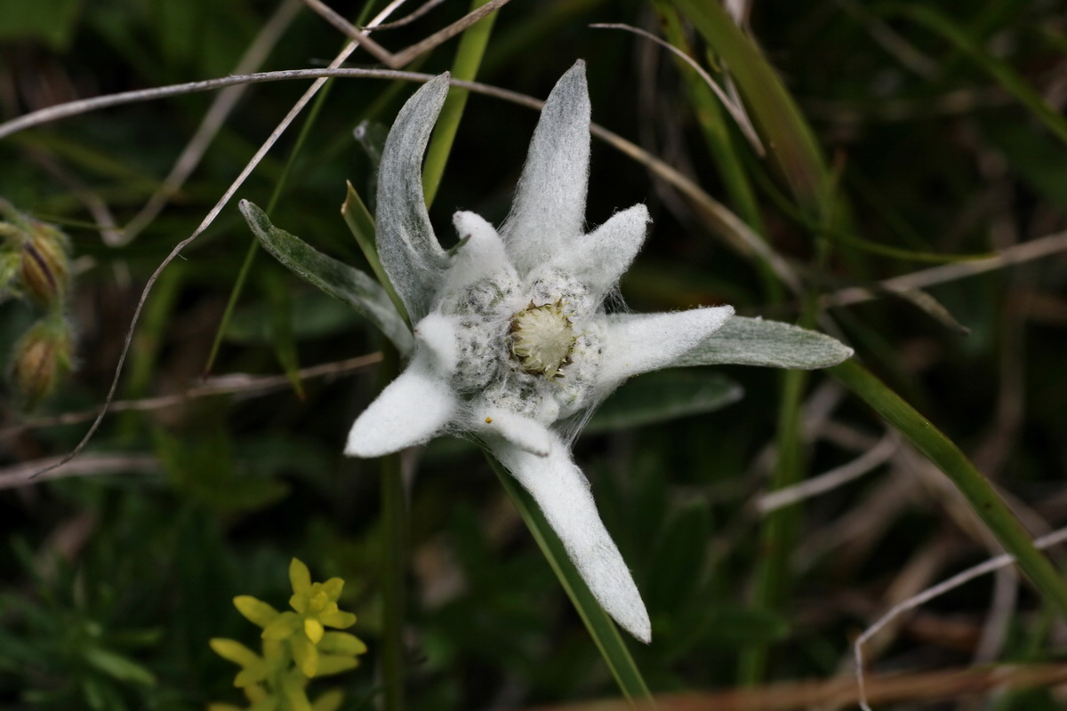 2016_07_05_022931p_Bildgr��e �ndern