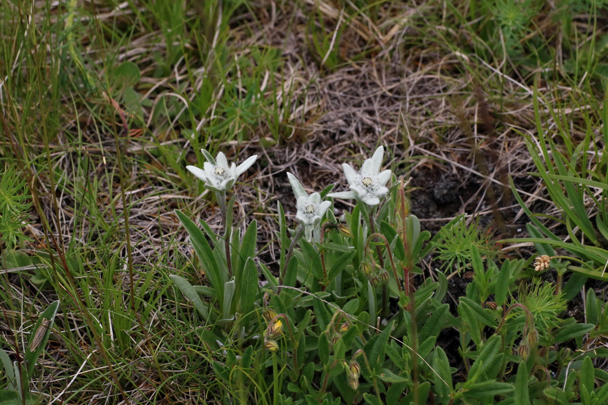 2016_07_05_022935p_Bildgr��e �ndern