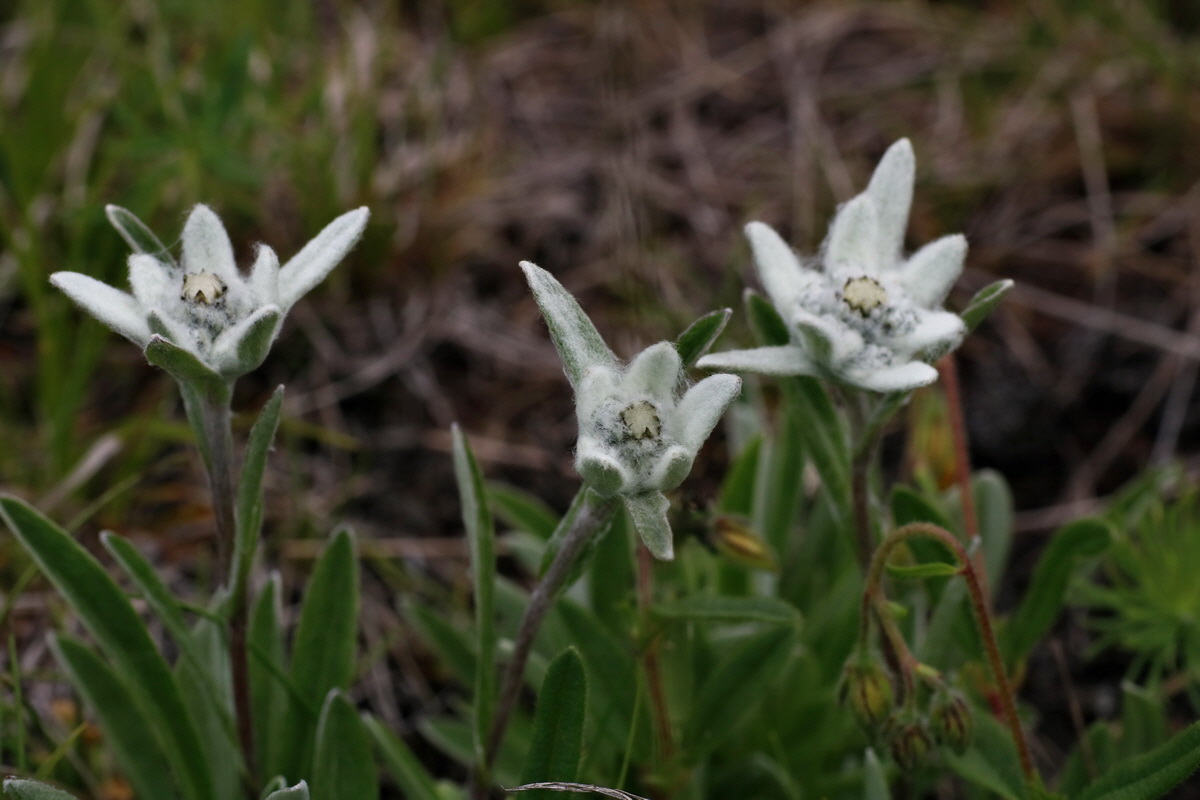 2016_07_05_022939p_Bildgr��e �ndern