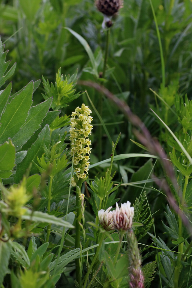 2016_07_05_022940p_Bildgr��e �ndern