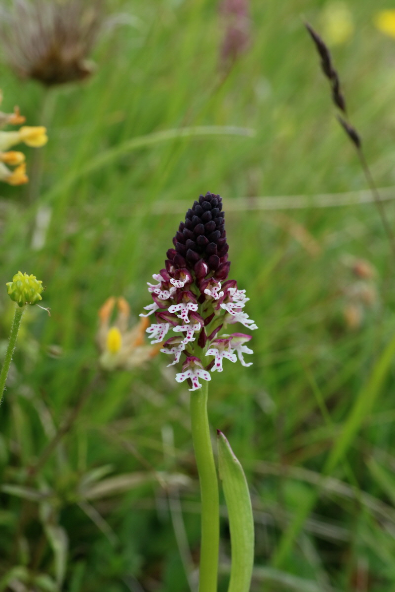 2016_07_05_022943p_Bildgr��e �ndern