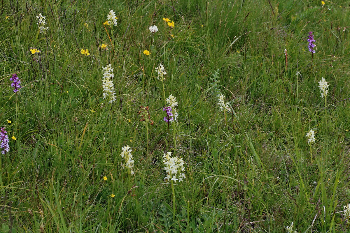 2016_07_05_022946p_Bildgr��e �ndern