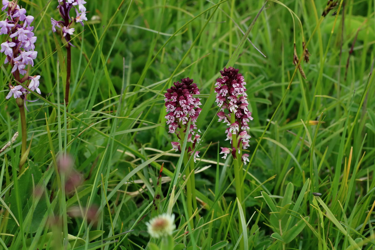 2016_07_05_022948p_Bildgr��e �ndern