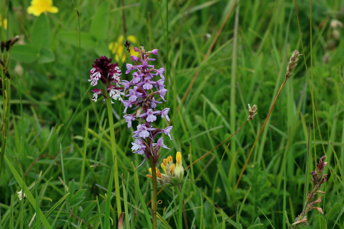 2016_07_05_022950p_Bildgr��e �ndern