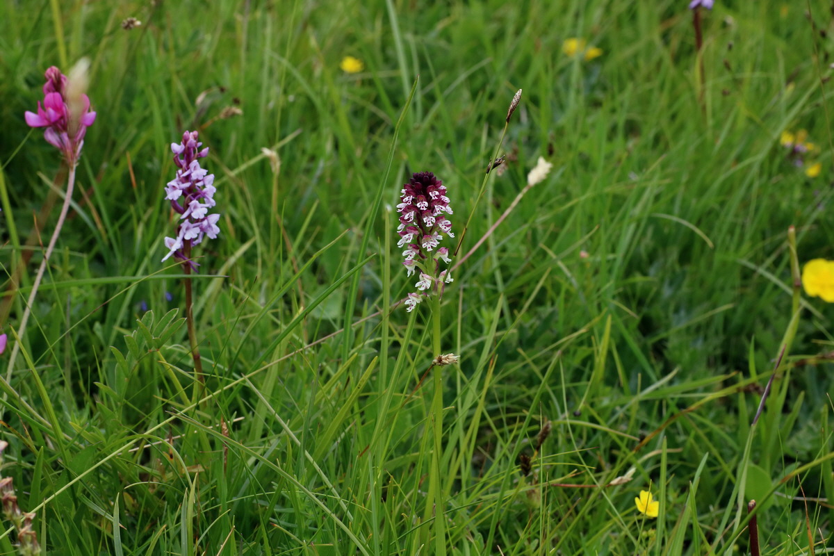 2016_07_05_022952p_Bildgr��e �ndern