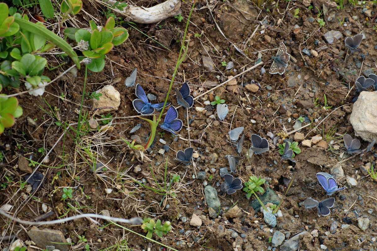 2016_07_05_022960p_Bildgr��e �ndern