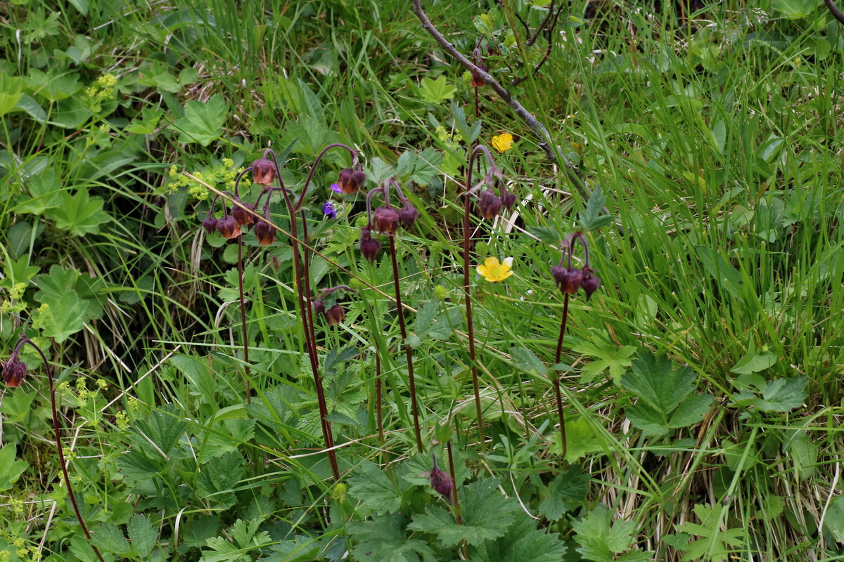 2016_07_05_022981p_Bildgr��e �ndern