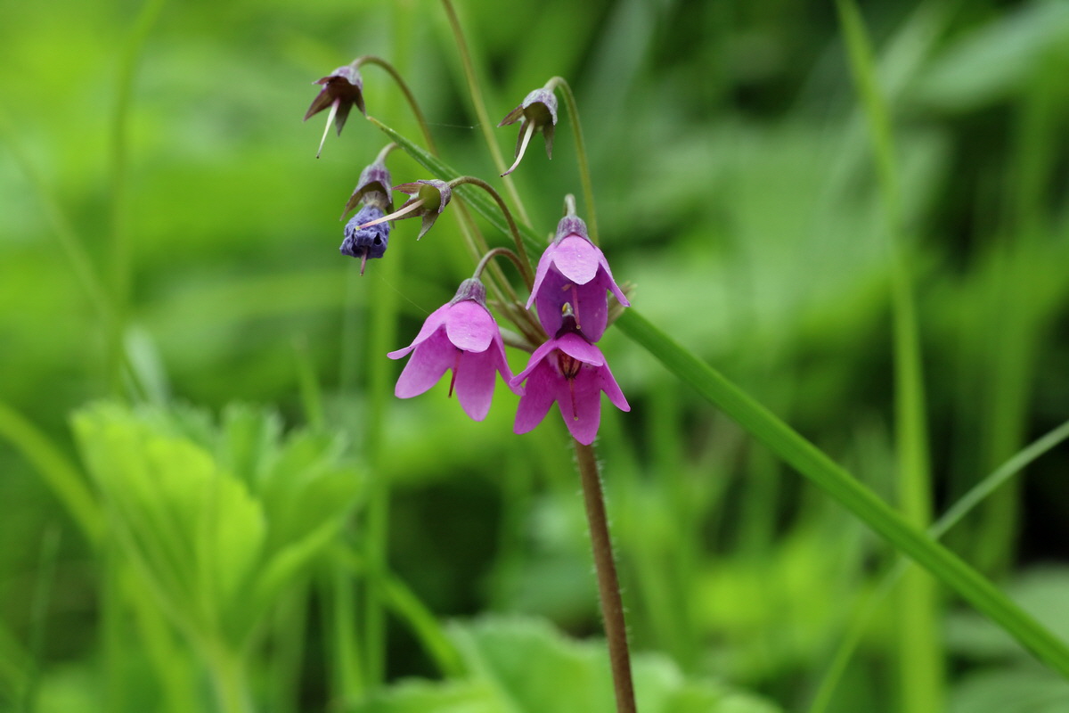 2016_07_05_022990p_Bildgr��e �ndern