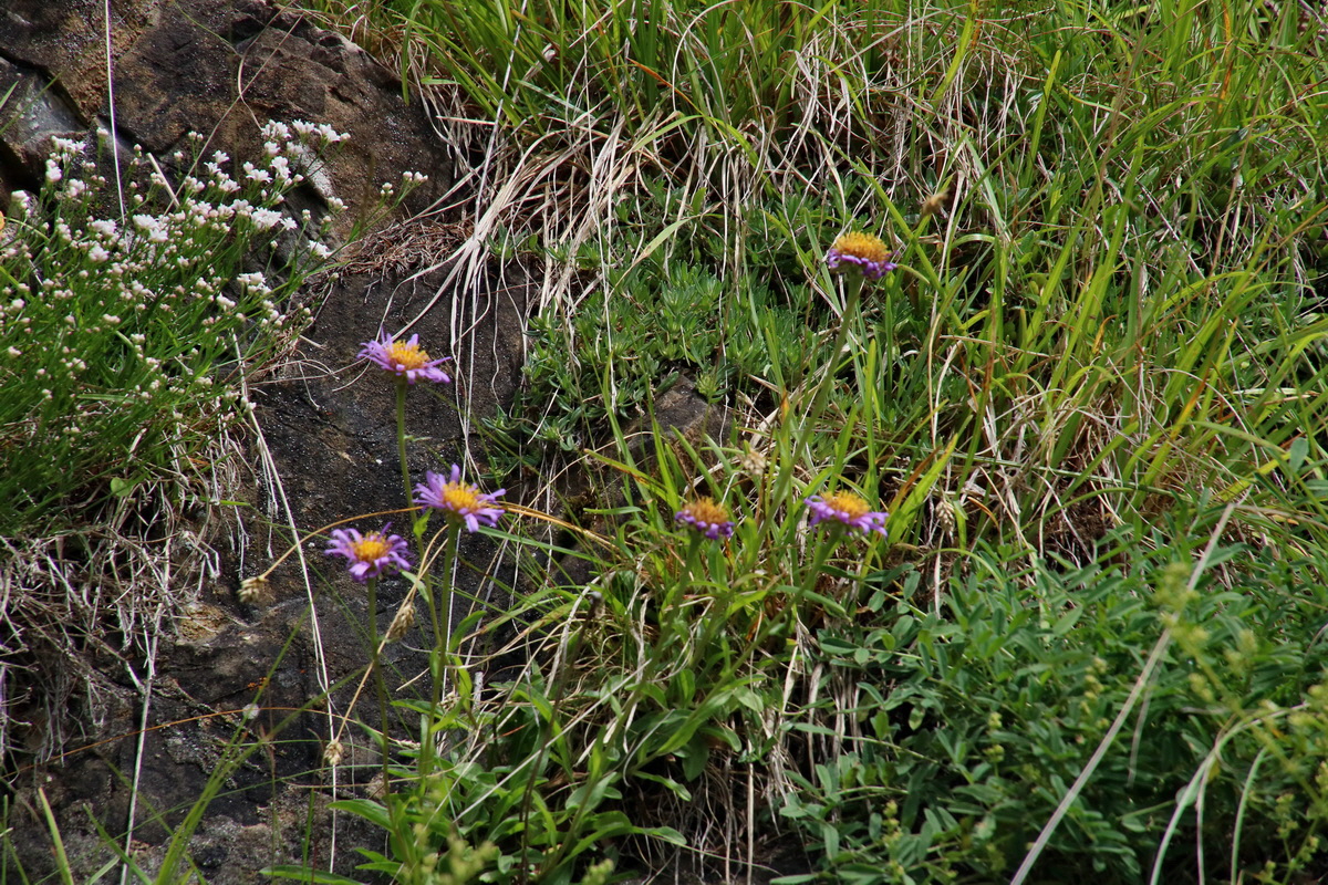 2016_07_05_023009p_Bildgr��e �ndern