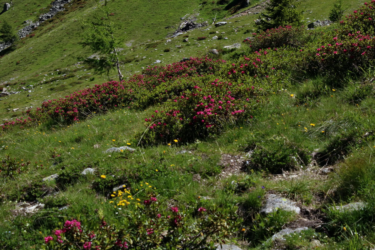 2016_07_07_023300p_Bildgr��e �ndern