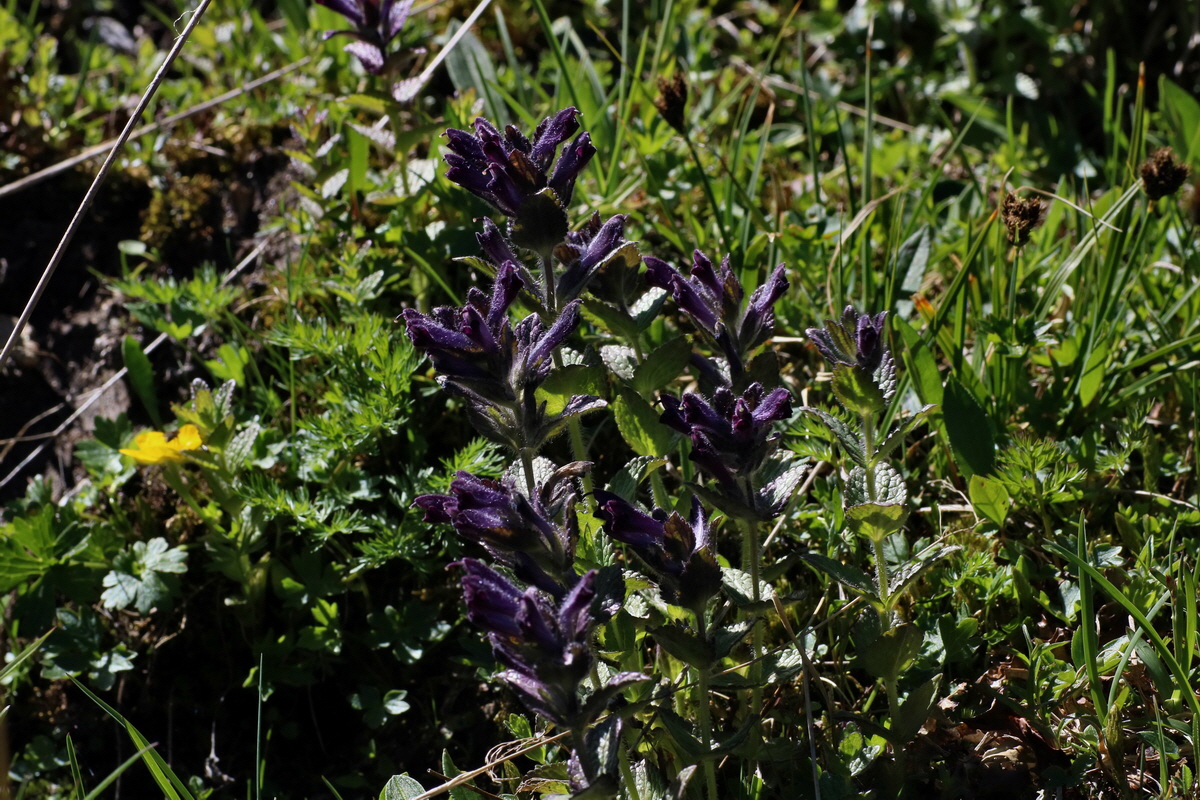 2016_07_07_023304p_Bildgr��e �ndern