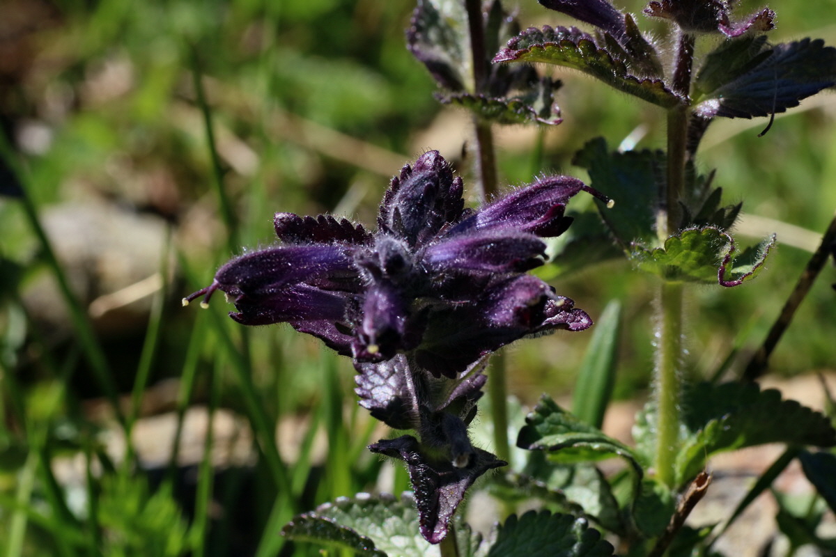 2016_07_07_023308p_Bildgr��e �ndern