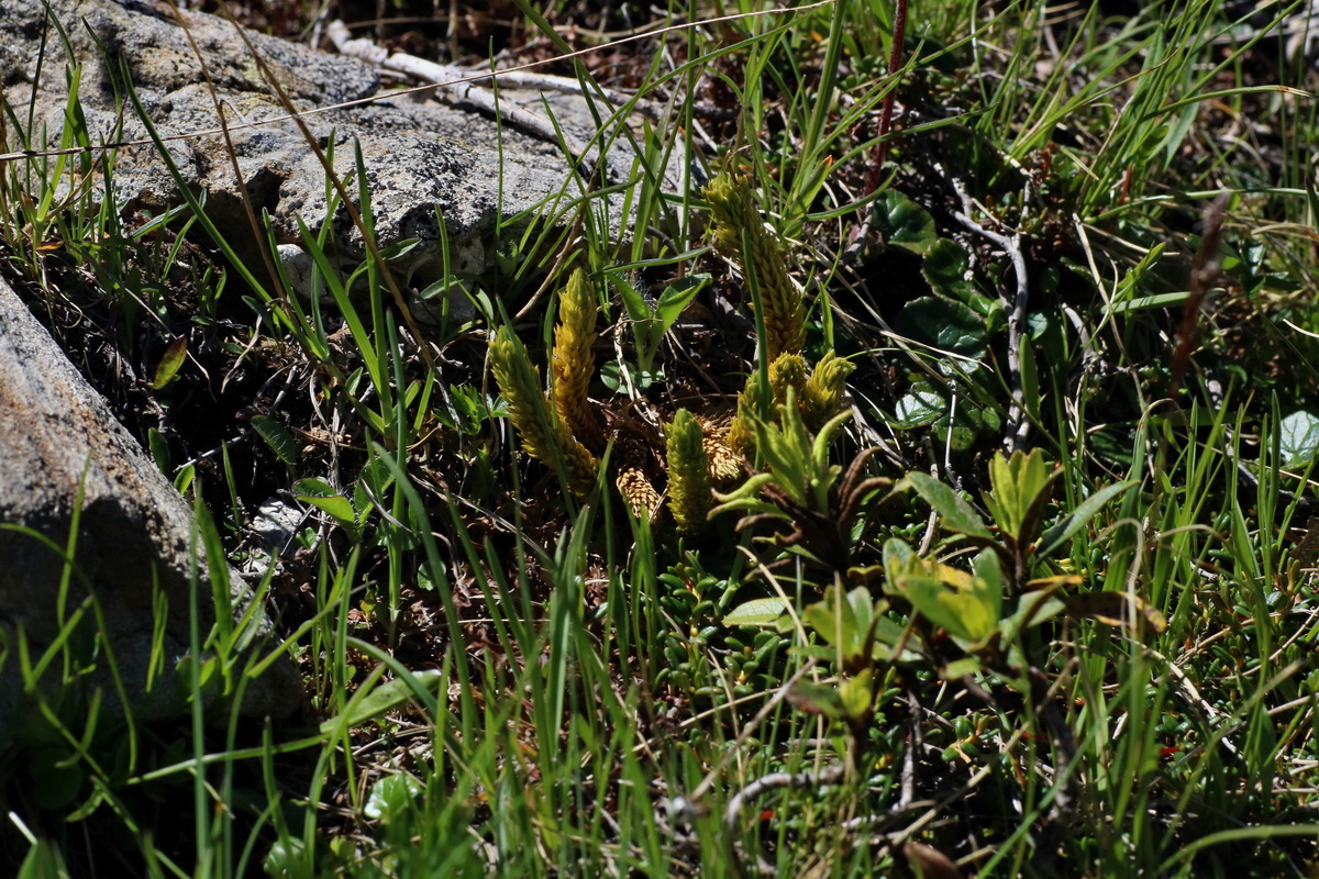 2016_07_07_023311p_Bildgr��e �ndern