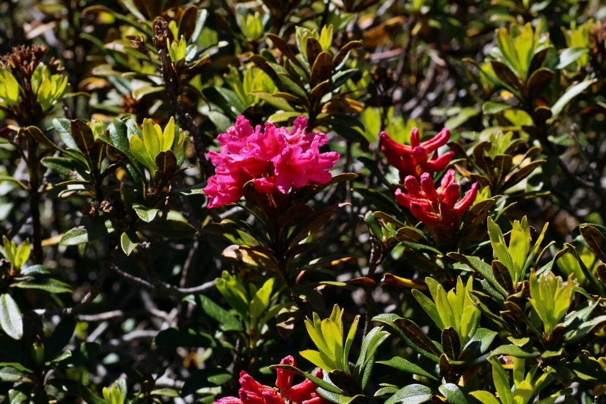 2016_07_07_023314p_Bildgr��e �ndern