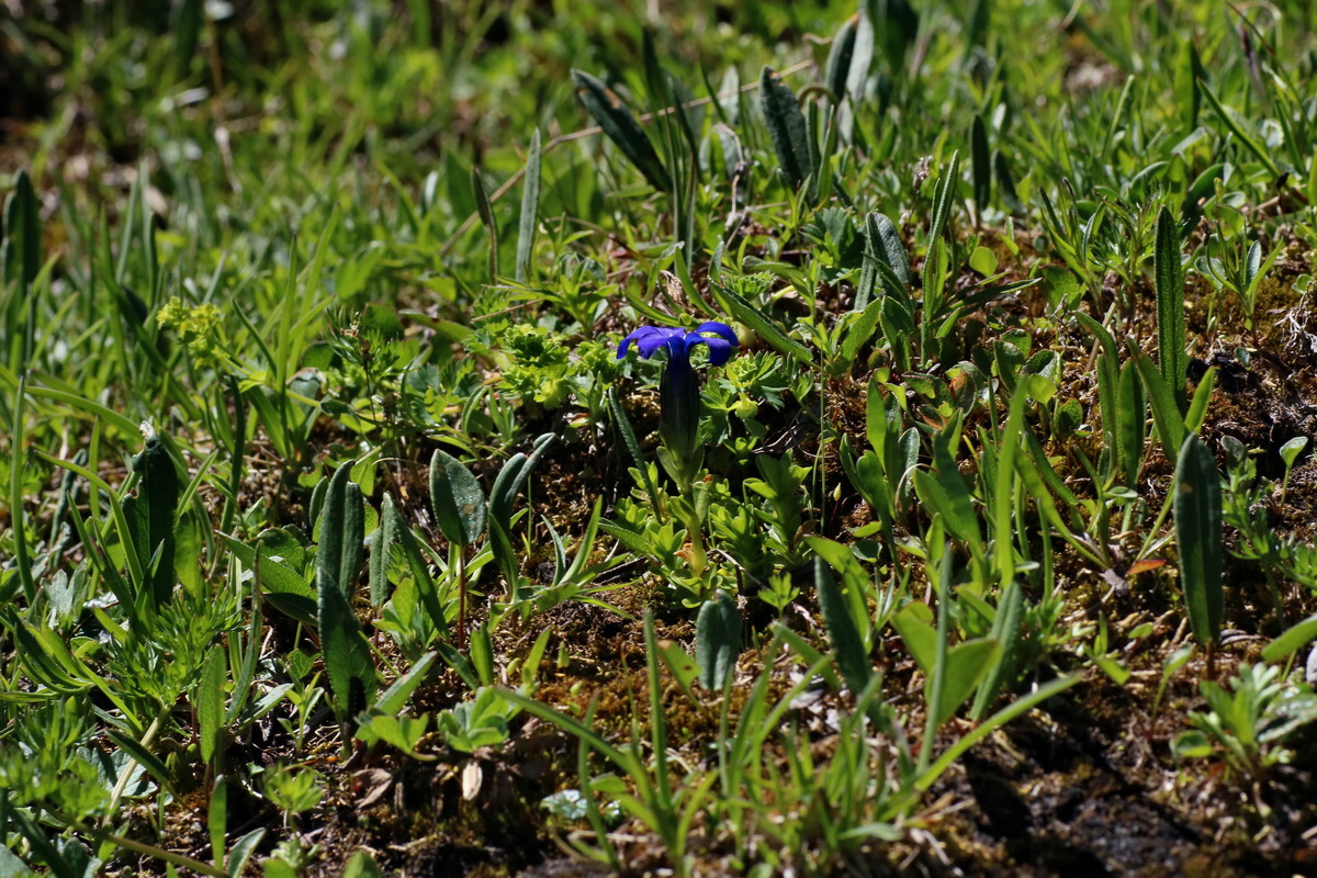 2016_07_07_023320p_Bildgr��e �ndern