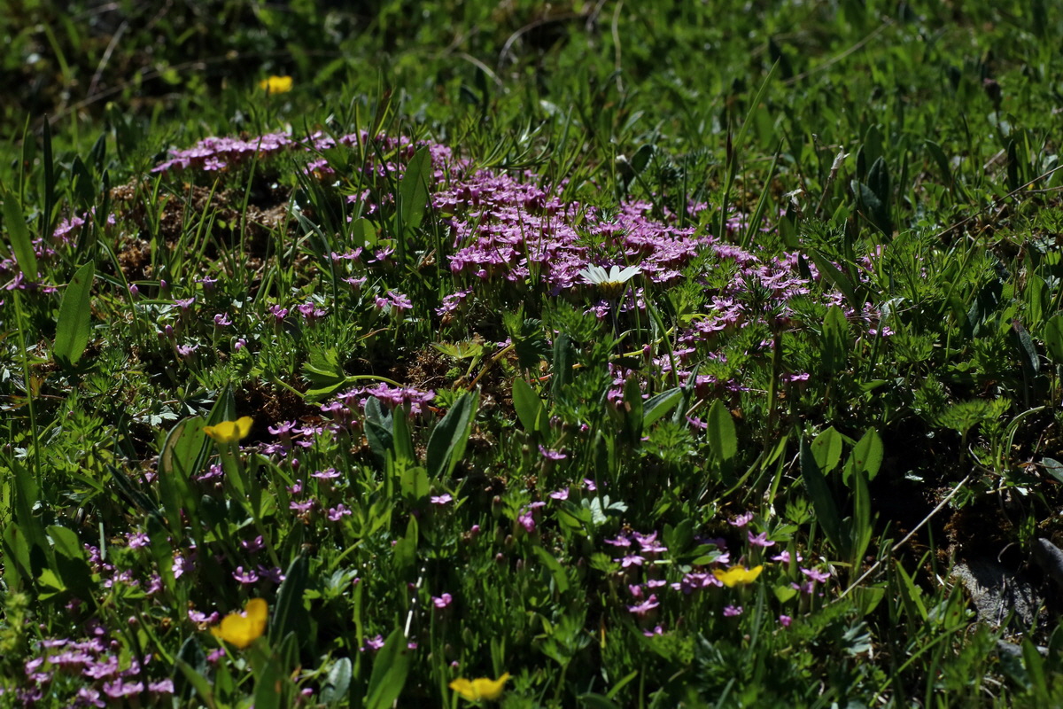 2016_07_07_023322p_Bildgr��e �ndern