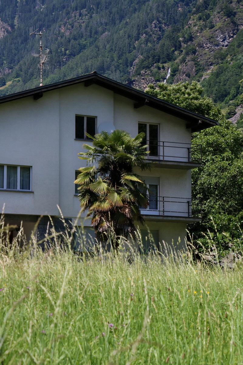 2016_07_07_023345p_Bildgr��e �ndern