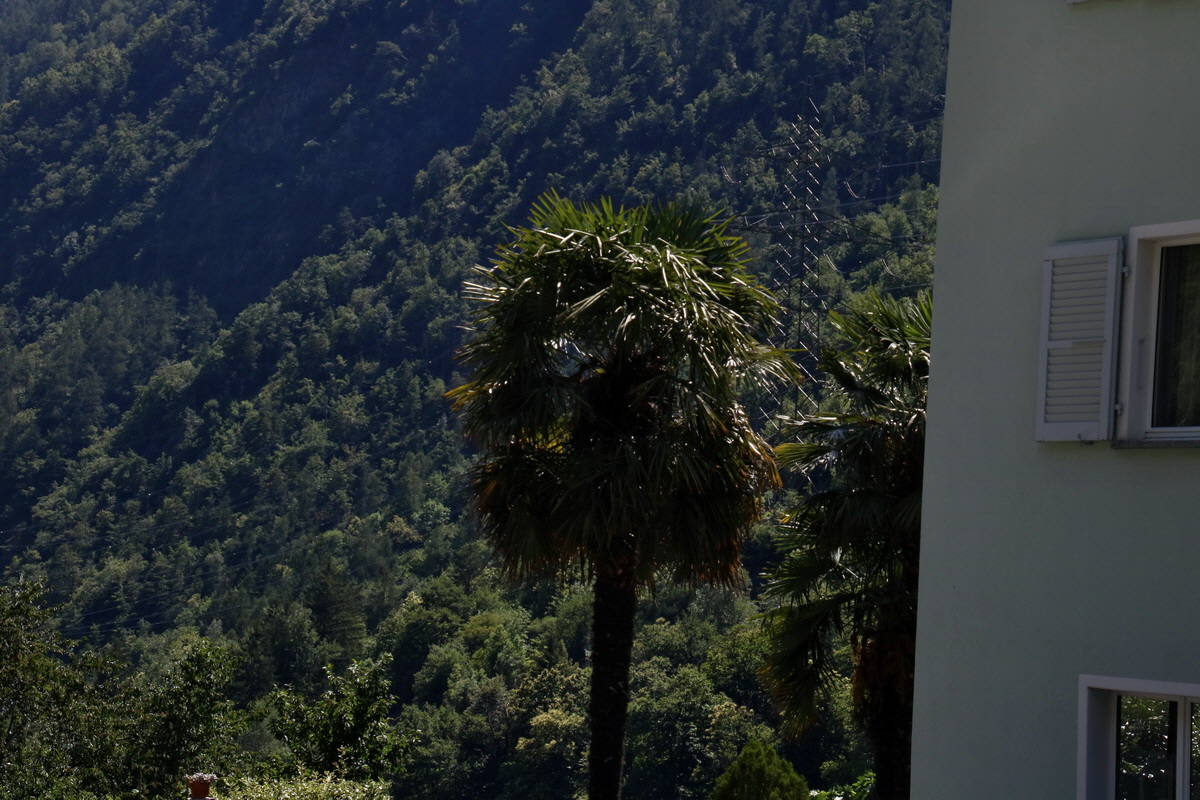 2016_07_07_023347p_Bildgr��e �ndern