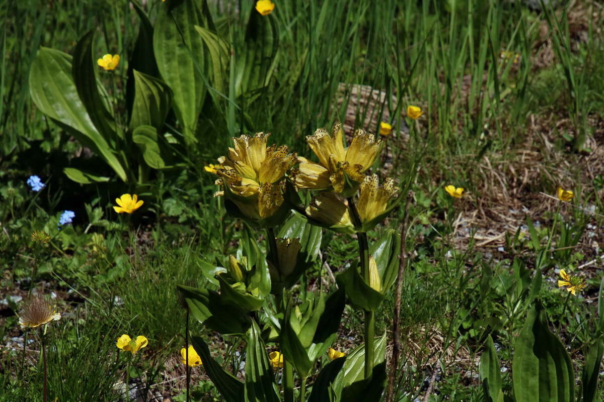 2016_07_07_023643p_Bildgr��e �ndern