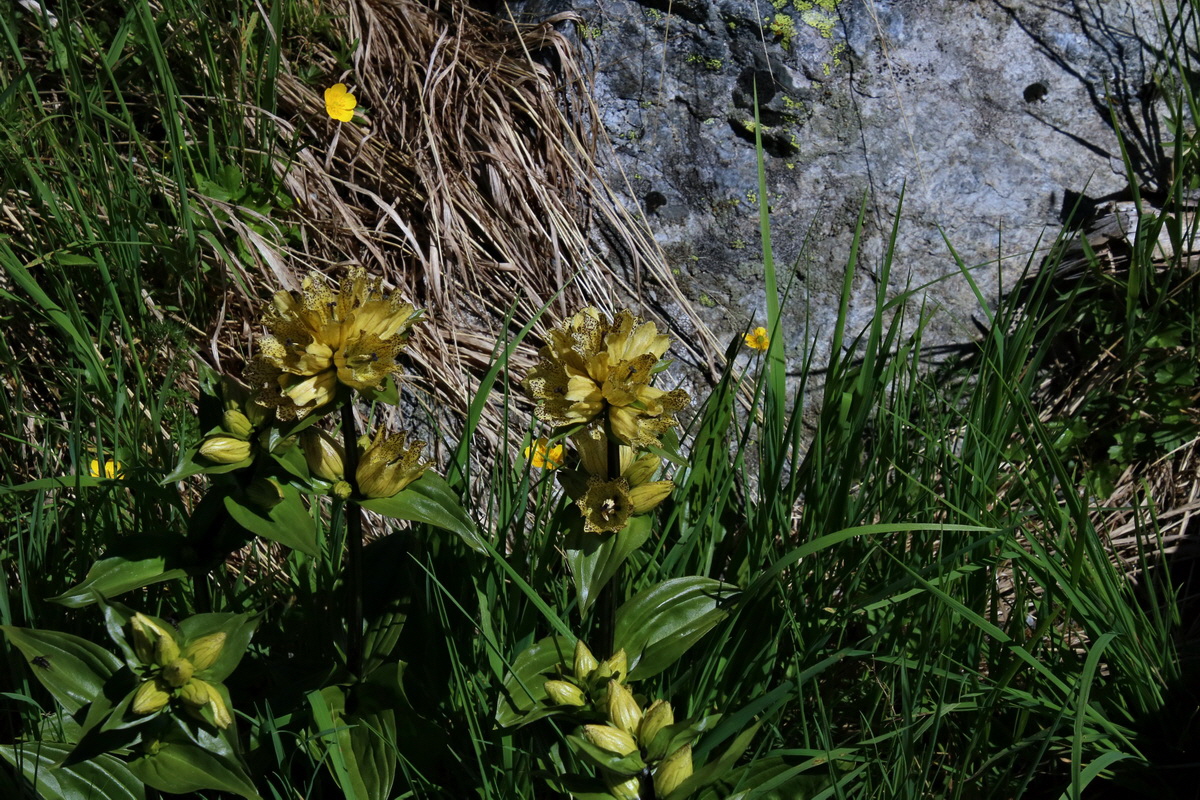 2016_07_07_023649p_Bildgr��e �ndern