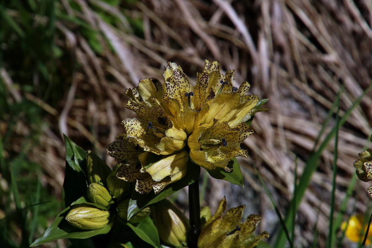 2016_07_07_023651p_Bildgr��e �ndern