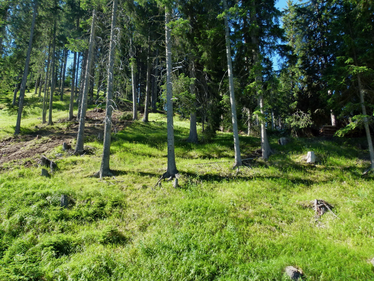 P1170983p_Bildgr��e �ndern