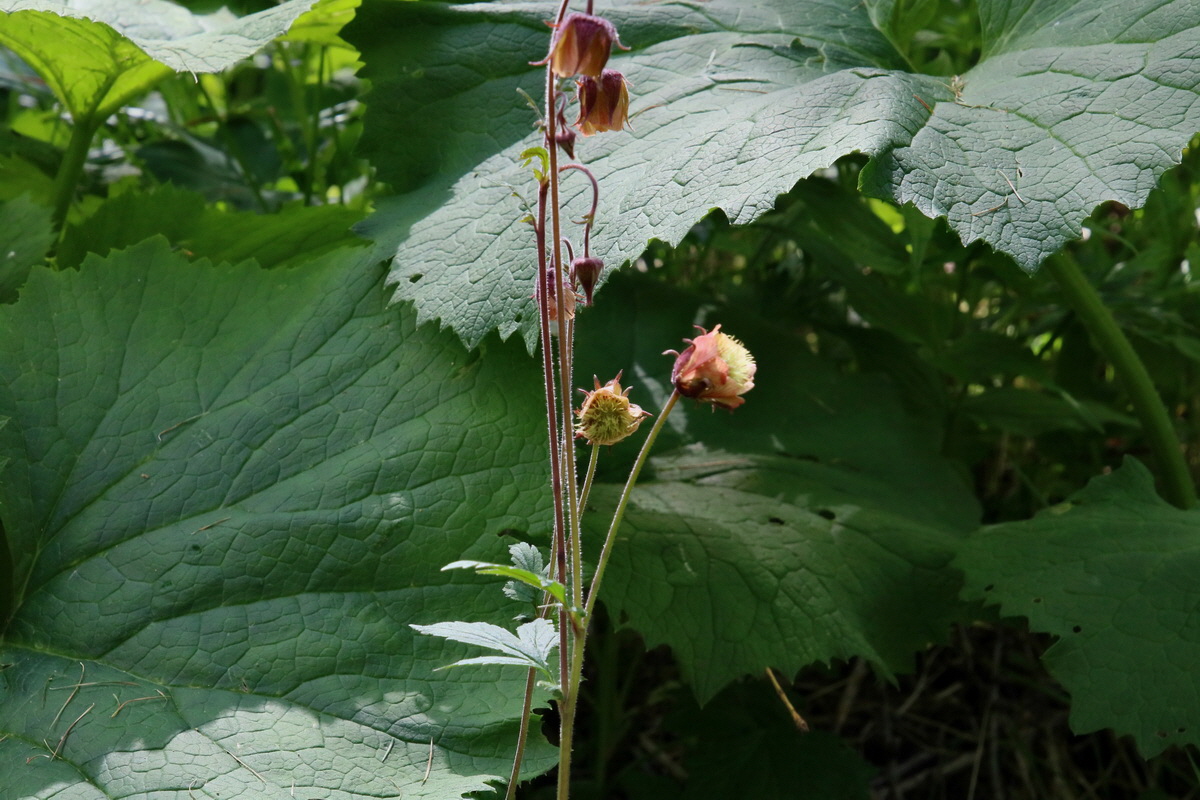 2016_07_08_023692p_Bildgr��e �ndern