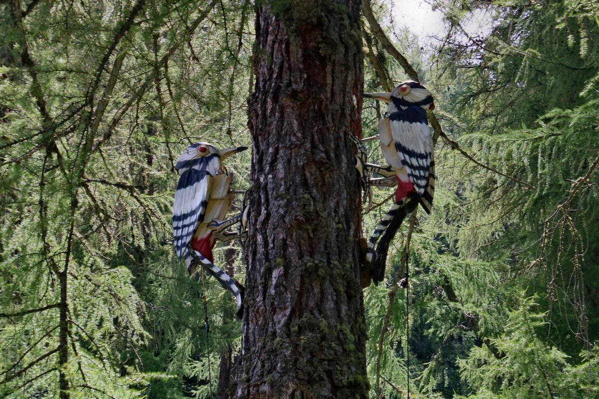 2016_07_08_023702p_Bildgr��e �ndern