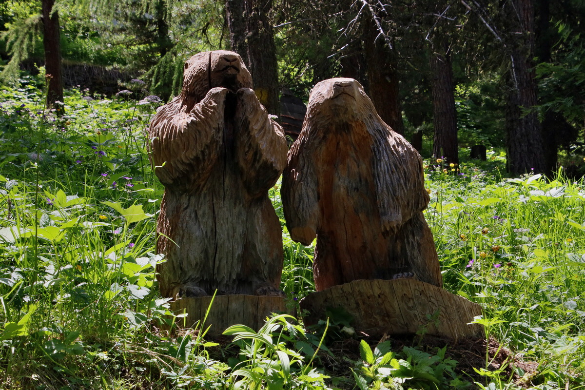 2016_07_08_023706p_Bildgr��e �ndern