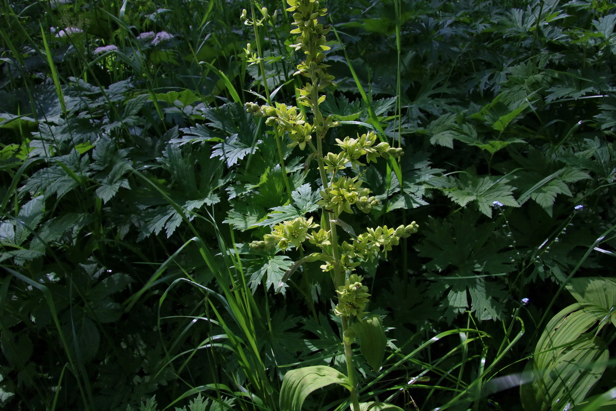 2016_07_08_023713p_Bildgr��e �ndern