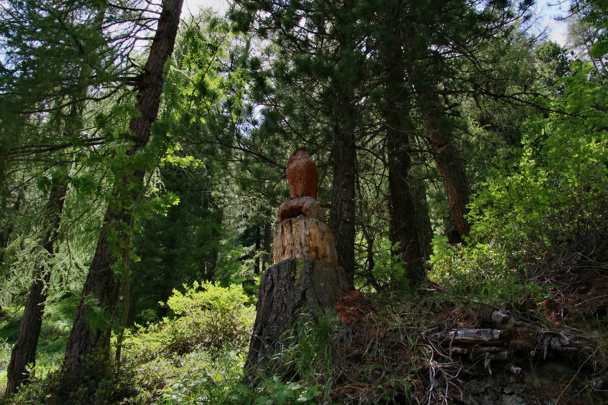 2016_07_08_023723p_Bildgr��e �ndern