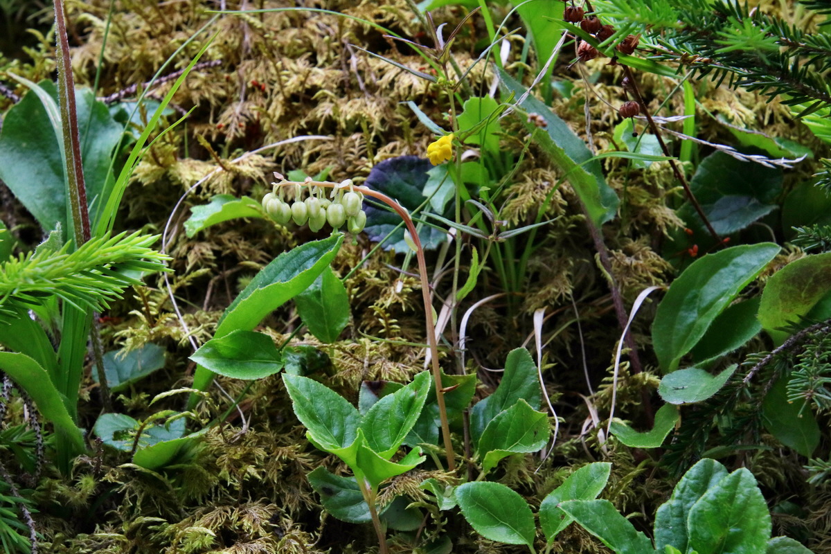 2016_07_09_023766p_Bildgr��e �ndern