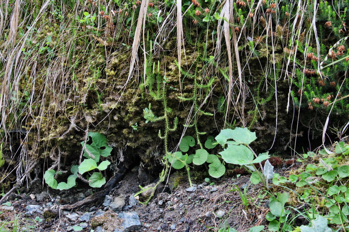 2016_07_09_023767p_Bildgr��e �ndern