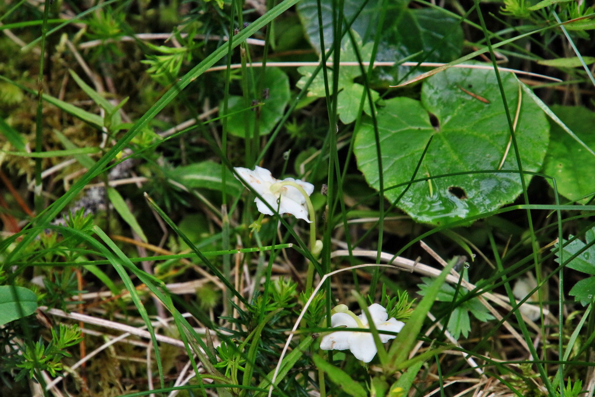 2016_07_09_023773p_Bildgr��e �ndern