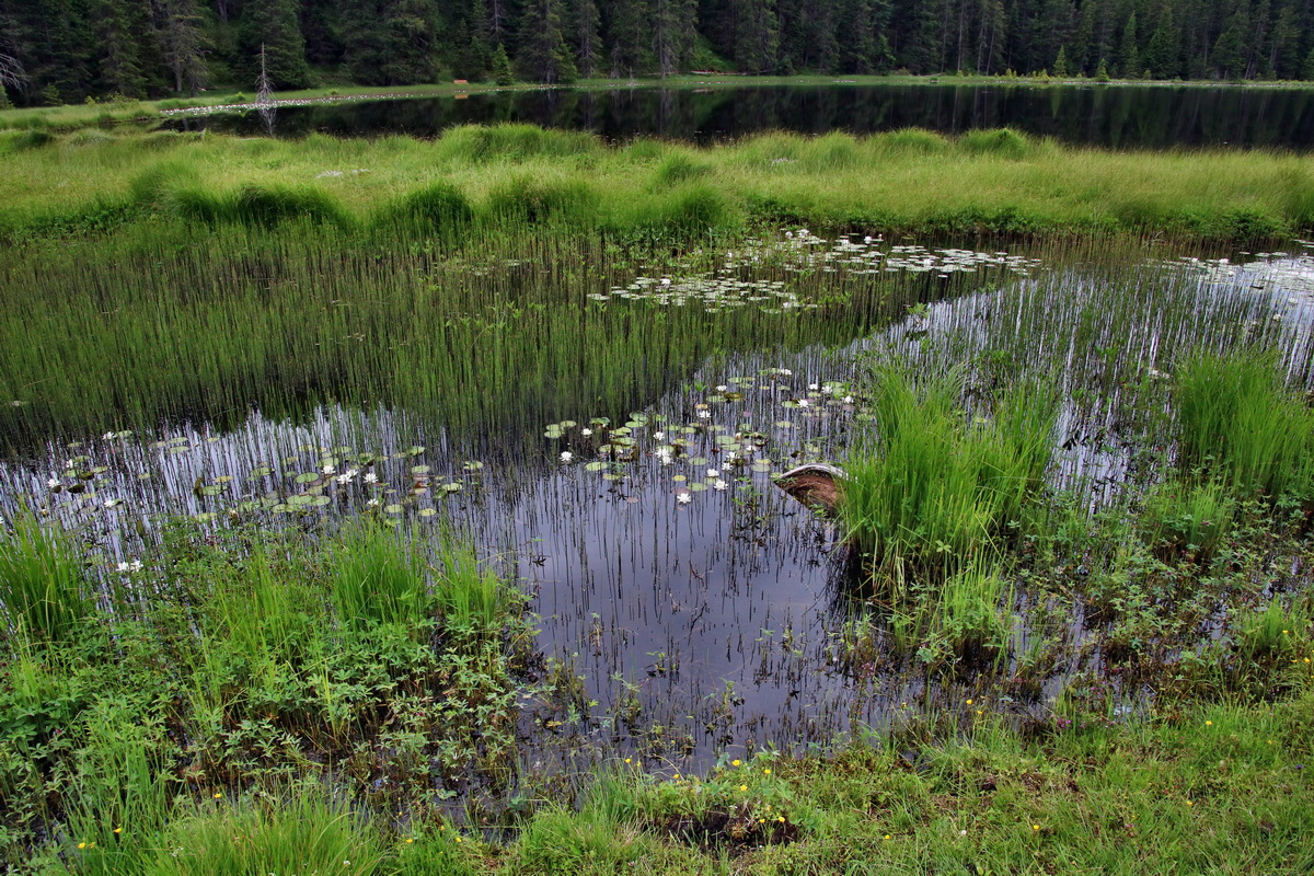 2016_07_09_023804p_Bildgr��e �ndern